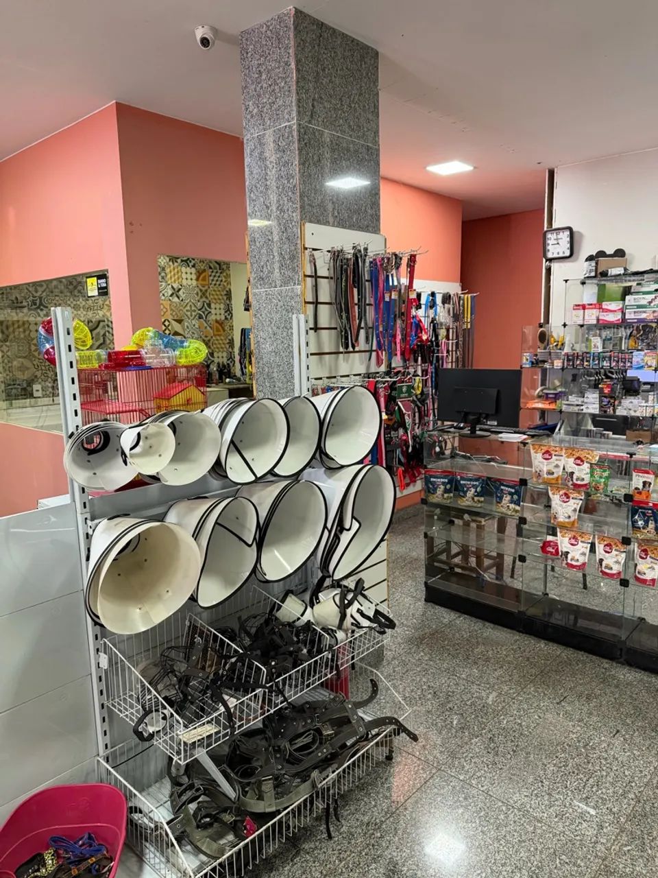 Petshop mais bonito do riacho fundo 2 - Foto 4