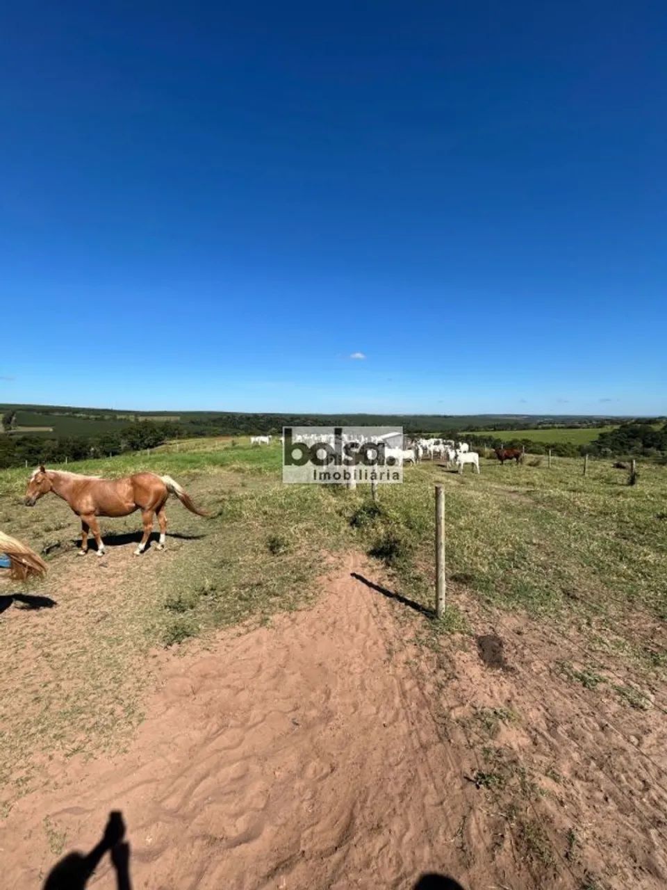 Fazenda montada Bauru - SP - Foto 2