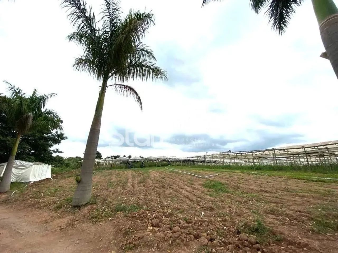 chácara - Ponte - Atibaia - Foto 2