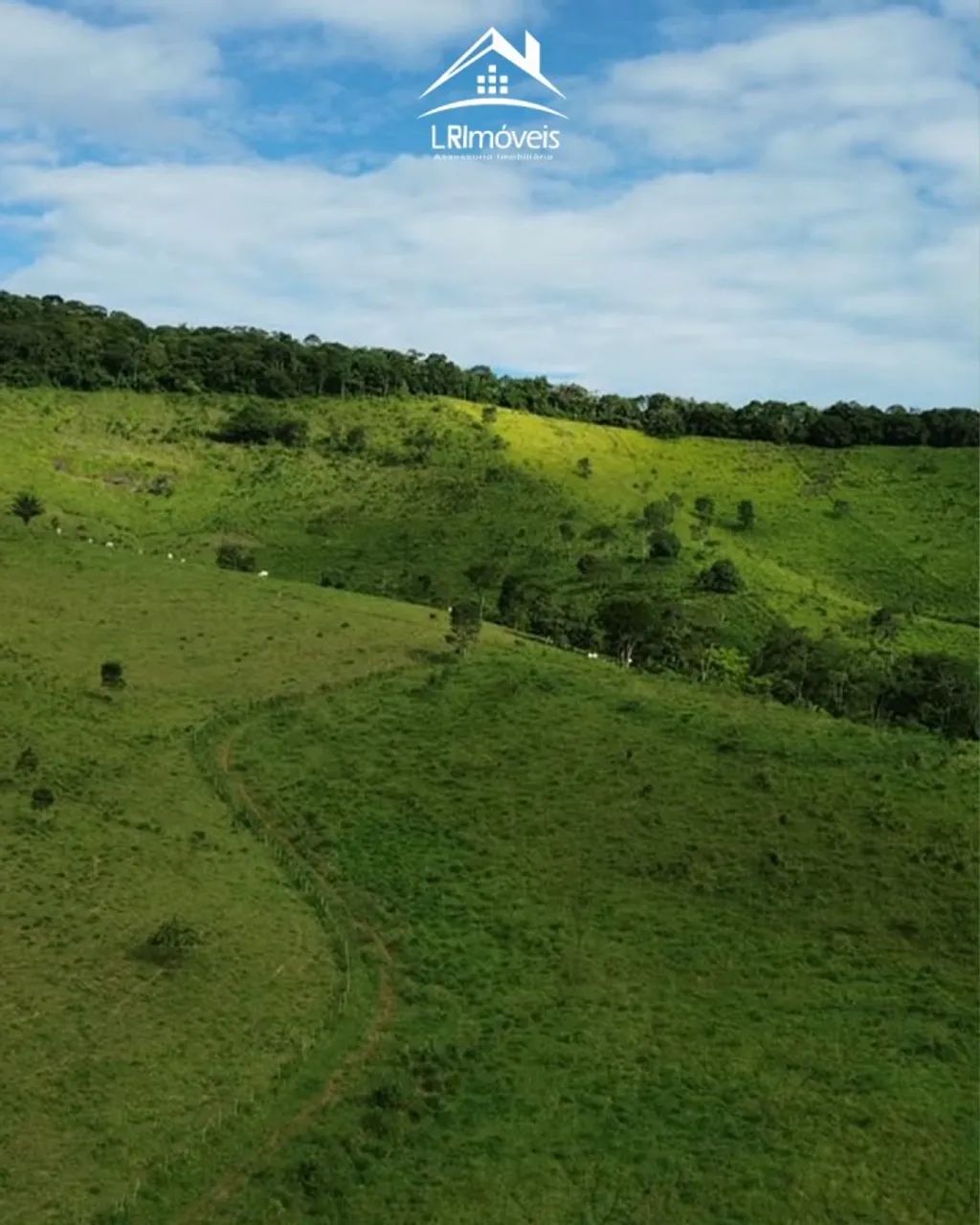 Fazenda para Venda em Murici - Foto 5