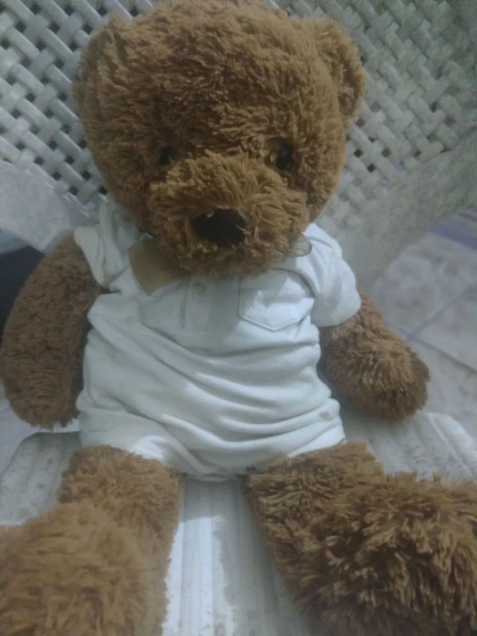 Urso de pelúcia ?