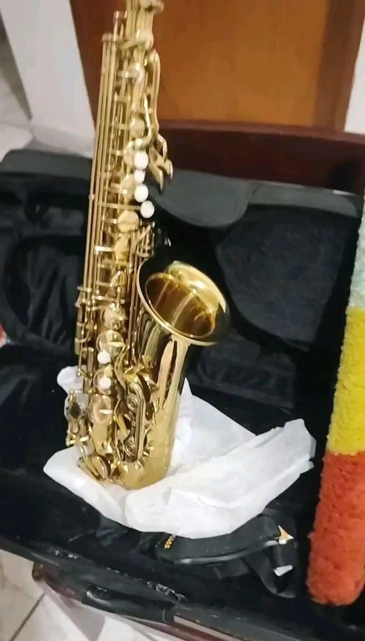 Saxofone Shelter 