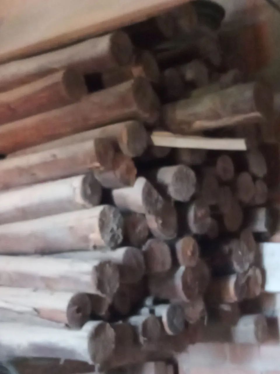  20 ESCORAS DE EUCALIPTO  - Foto 2