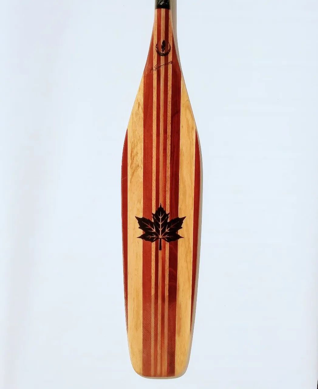 Remo canoa canadense 