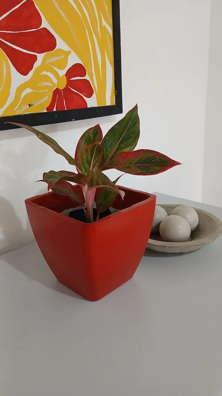 Vaso Quadrangular de Concreto - Foto 3