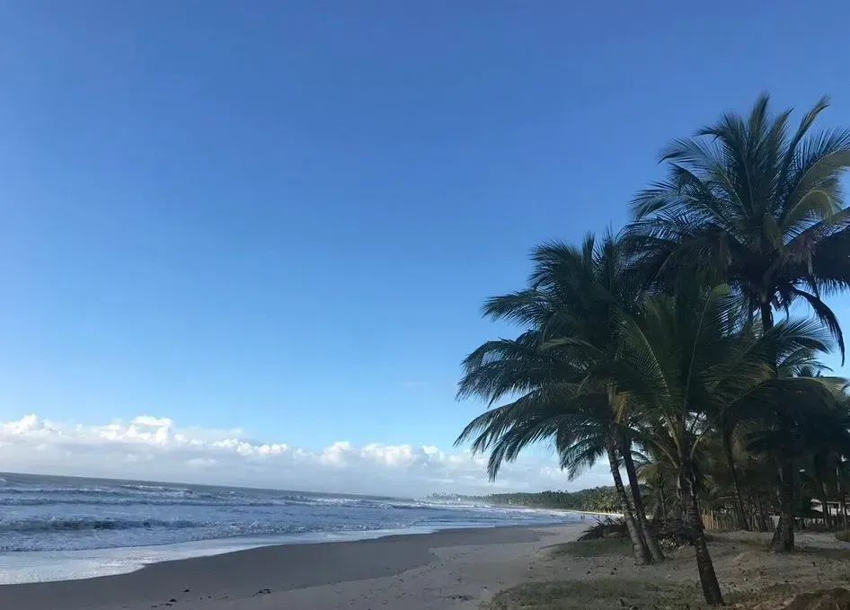 Mansão pé na areia em Ilhéus - Foto 2