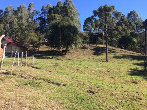 Terreno em Urubici, ideal p/ empreendimento comercial - Foto 5