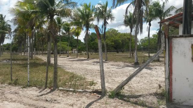 Terreno para Condominios - Foto 3