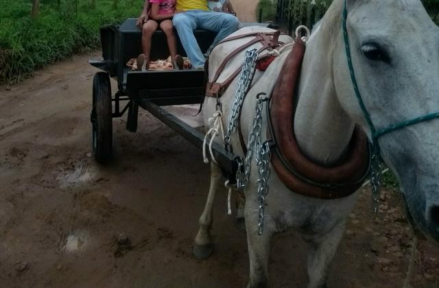 Charrete novinha - Foto 2