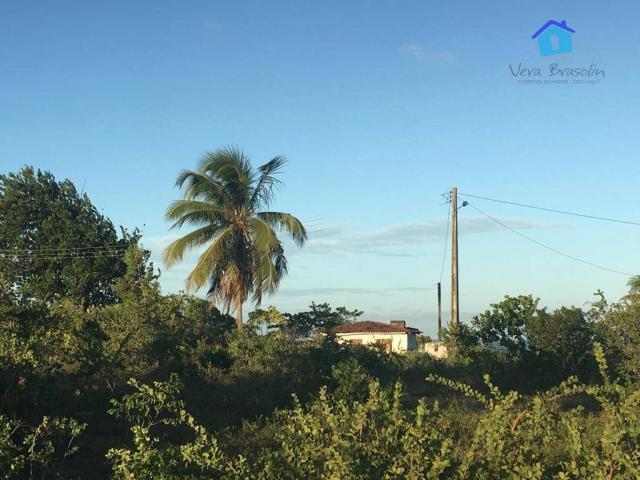 Promoção - lote 12 x 30 parcelado! - Foto 9