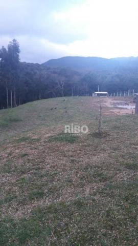 Excelente chácara com casa à venda - são josé dos pinhais! - Foto 5