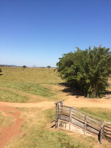 Fazenda 3.630 Hectares Porto Esperidião - MT - Foto 2