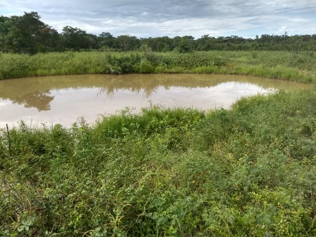 Fazenda com 200he, c/ 50% formado, terra de cultura, 40km de Cuiabá-MT - Foto 18