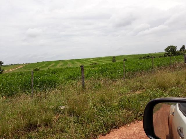 Fazenda 5.993 Hectares Dupla Aptidão - Vila Rica - MT - Foto 2
