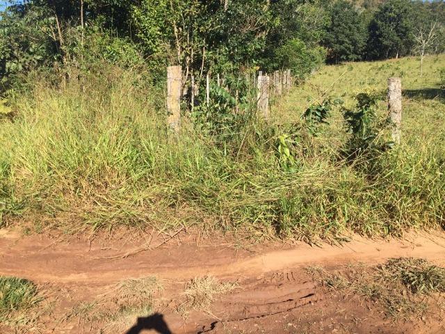 Fazenda c/ 570he, c/ 90% aberto/juquirado, 8km de Itiquira-MT, entrada + 4 parcelas - Foto 6