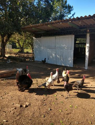 Peru - Foto 2