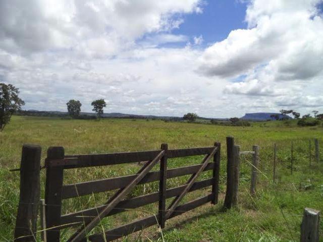 Fazenda c/ 3.480he c/ 80% formada, as margens da BR, Rondonópolis-MT - Foto 4