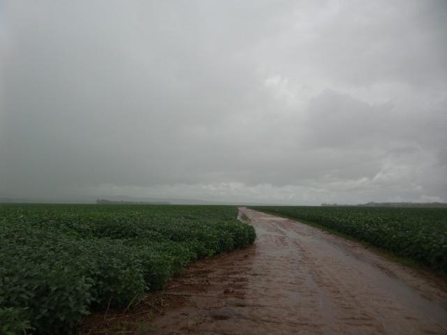 Fazenda 3.771 Hectares Plantando Lavoura - Canarana - MT - Foto 5