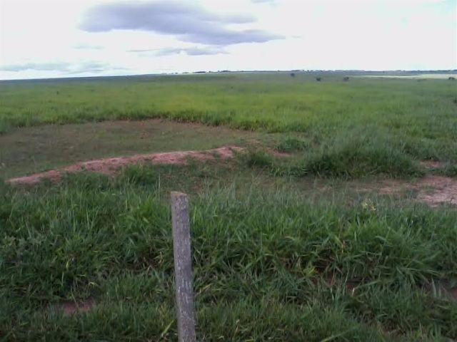 Fazenda c/ 1.350he c/ 80% formado, planta em 600he, Itiquira-MT, pego imóvel no PR - Foto 5