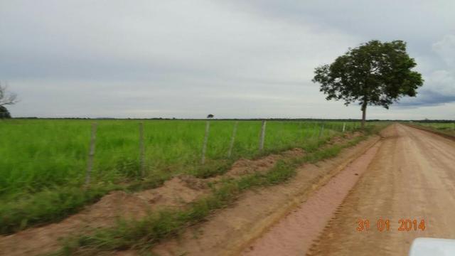 Fazenda c/ 4.500he, C/ 80% aberto, parte faz lavoura, Nova Xavantina-MT