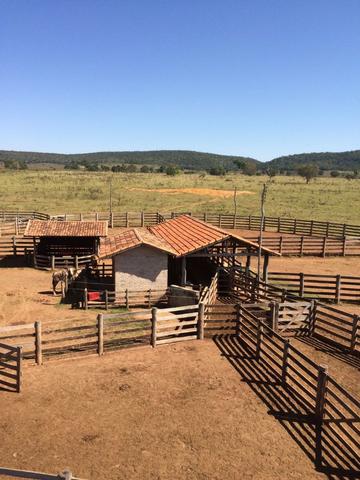 Fazenda 3.630 Hectares Porto Esperidião - MT - Foto 3
