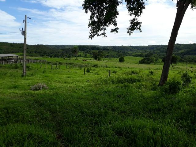 Fazenda c/ 912he, 550he formados, Terra boa, Itiquira-MT - Foto 17