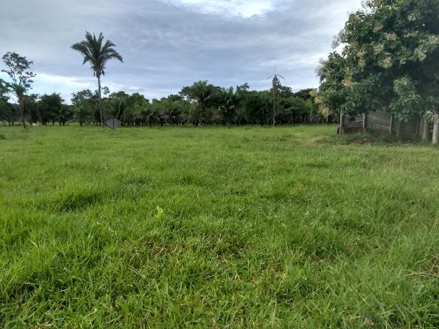 Fazenda com 200he, c/ 50% formado, terra de cultura, 40km de Cuiabá-MT - Foto 13