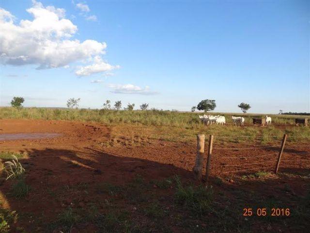 Fazenda c/ 1.700he c/ 80% formados, dupla aptidão, Itiquira-MT, pego 50% em imóvel no PR - Foto 9