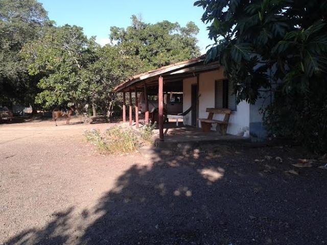 Fazenda c/ 500he c/ 315he formado, a 50km de Cuiabá-MT - Foto 16