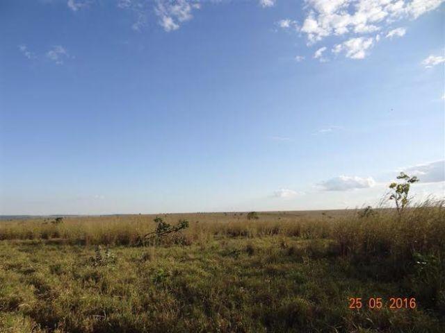 Fazenda c/ 1.700he c/ 80% formados, dupla aptidão, Itiquira-MT, pego 50% em imóvel no PR - Foto 11