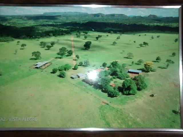 Fazenda com 686he, c/ 350He formado, terra boa, 30km antes Guiratinga-MT - Foto 9