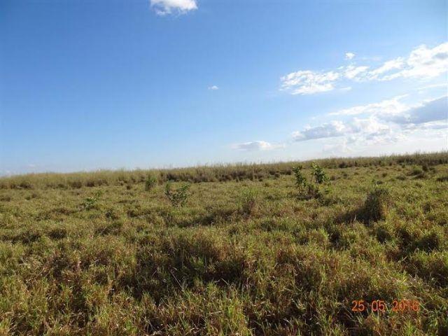 Fazenda c/ 1.700he c/ 80% formados, dupla aptidão, Itiquira-MT, pego 50% em imóvel no PR - Foto 6