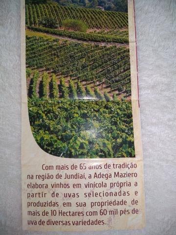 Licor de Jabuticaba Artesanal 370ML - Circuito das Frutas - Interior de SP - Foto 6