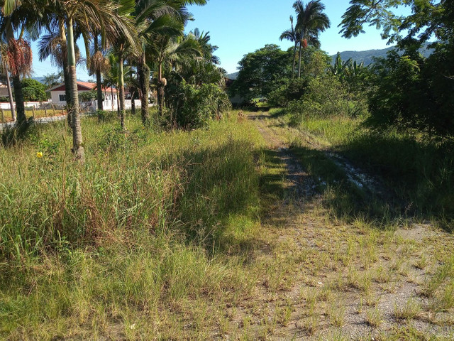 Terreno 3,6 hectares - Santo Amaro da Imperatriz - Foto 5