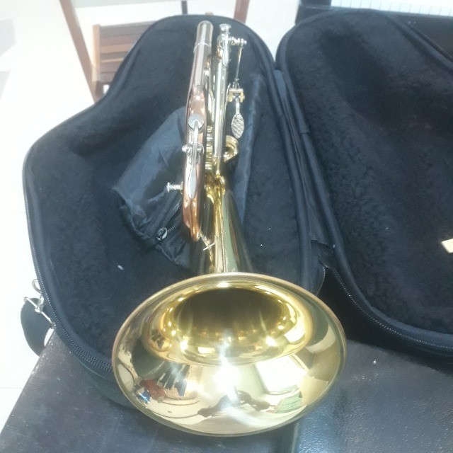 FluguelHorn Sib Michael novo - Foto 4