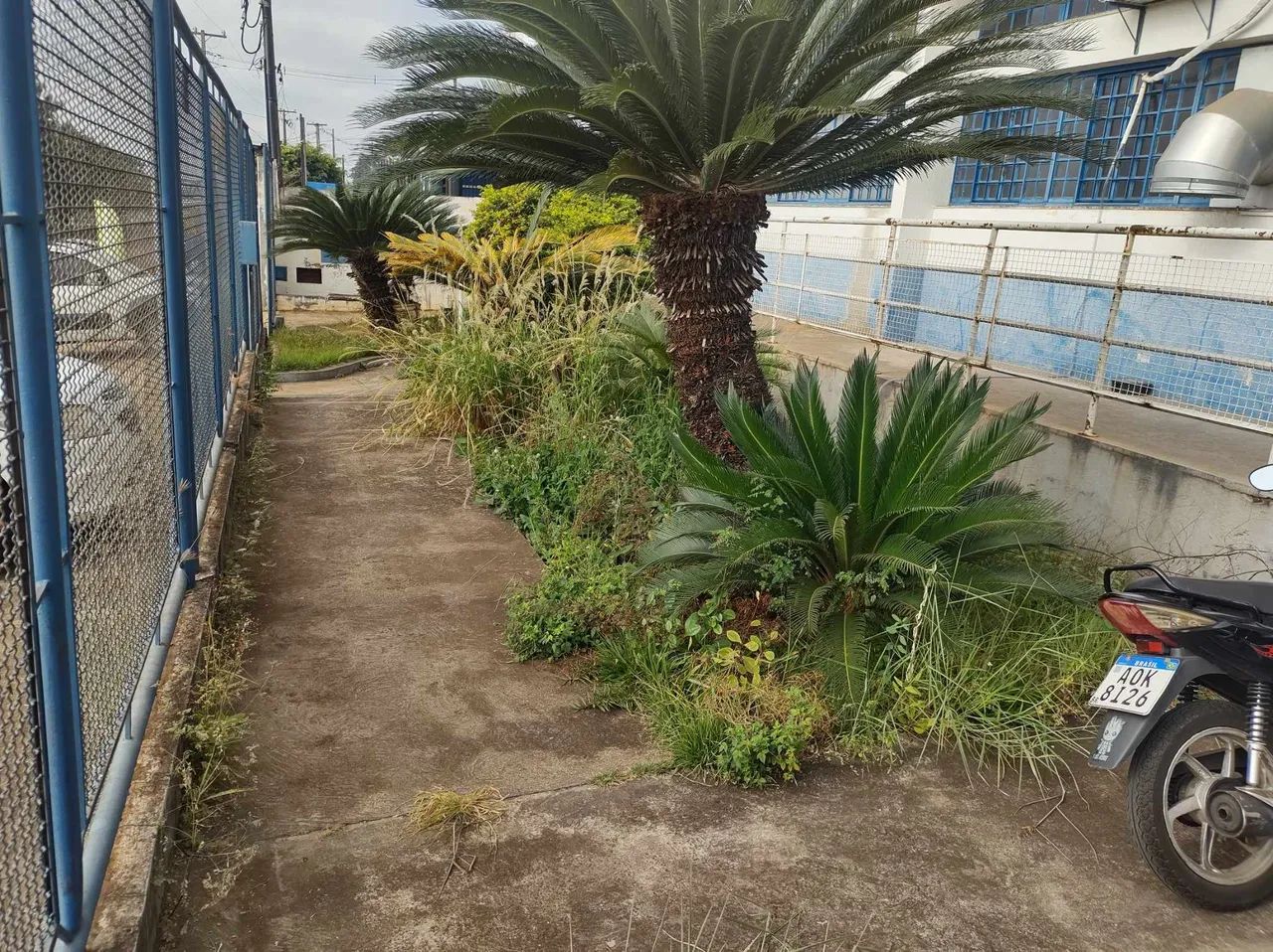Jardineiro  - Foto 3