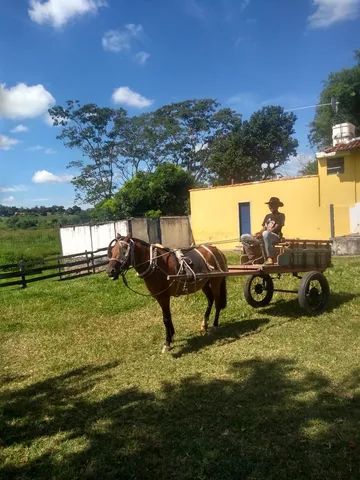 Carroça completa c/arreata  - Foto 2