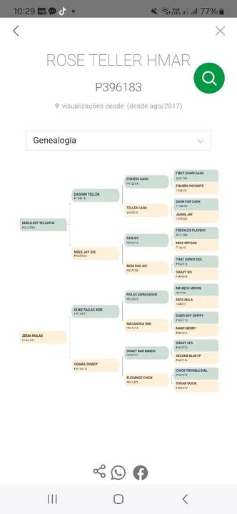 Quarto de Milha para venda - Foto 2