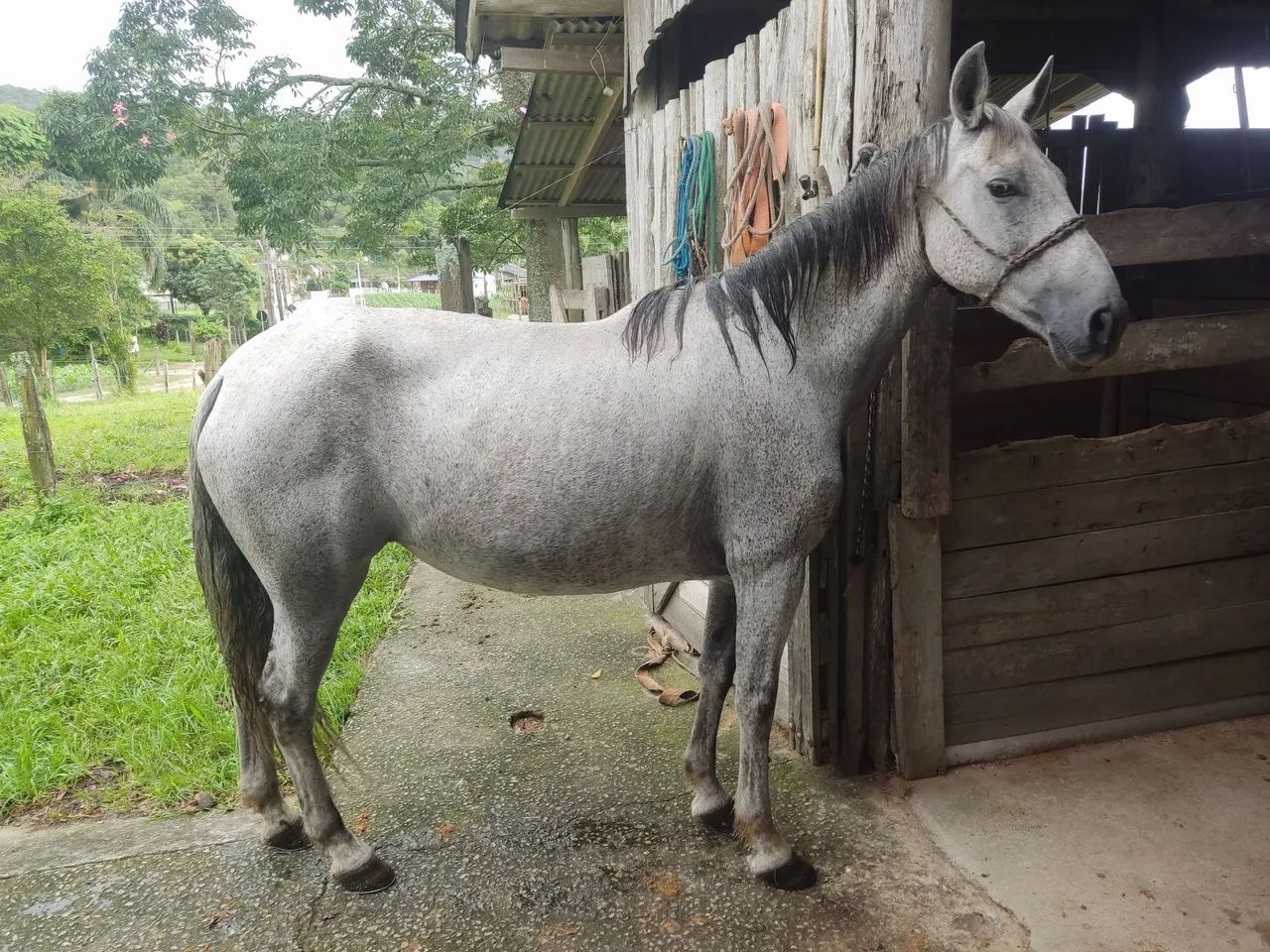 MARCHA PICADA!!! - Foto 6