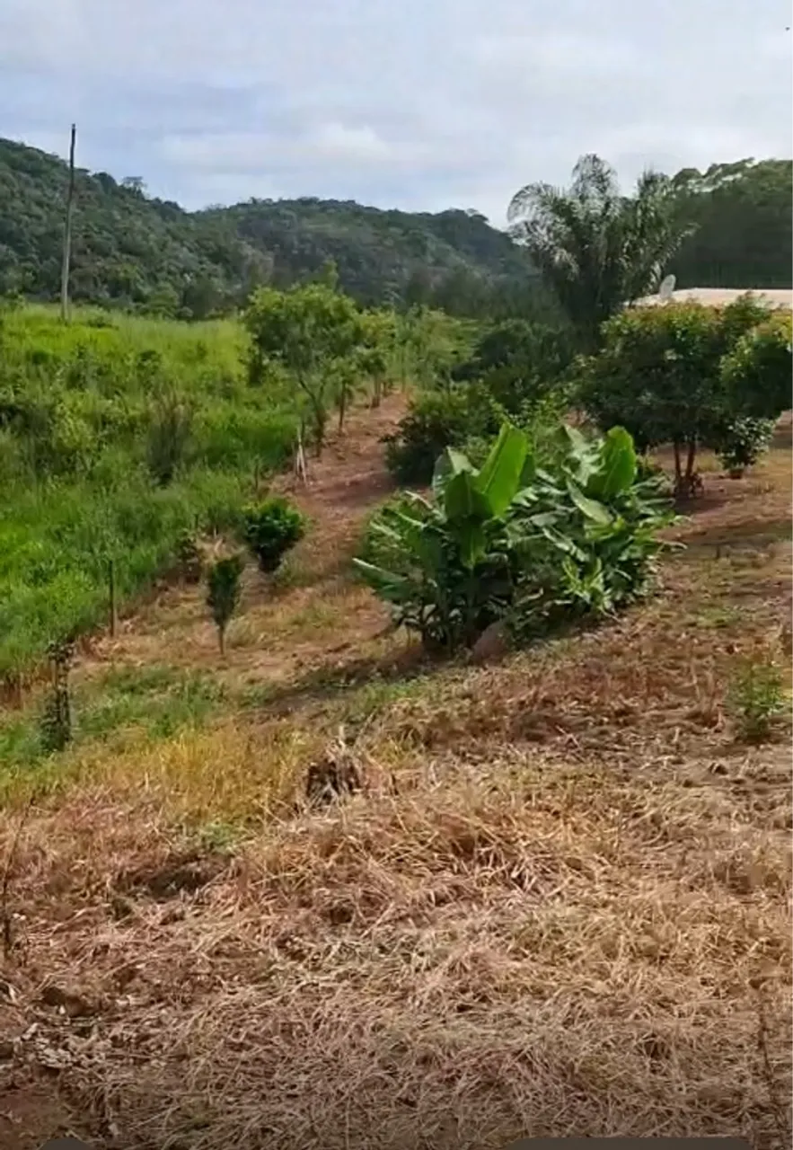 Chácara Ribeirão Grande SP