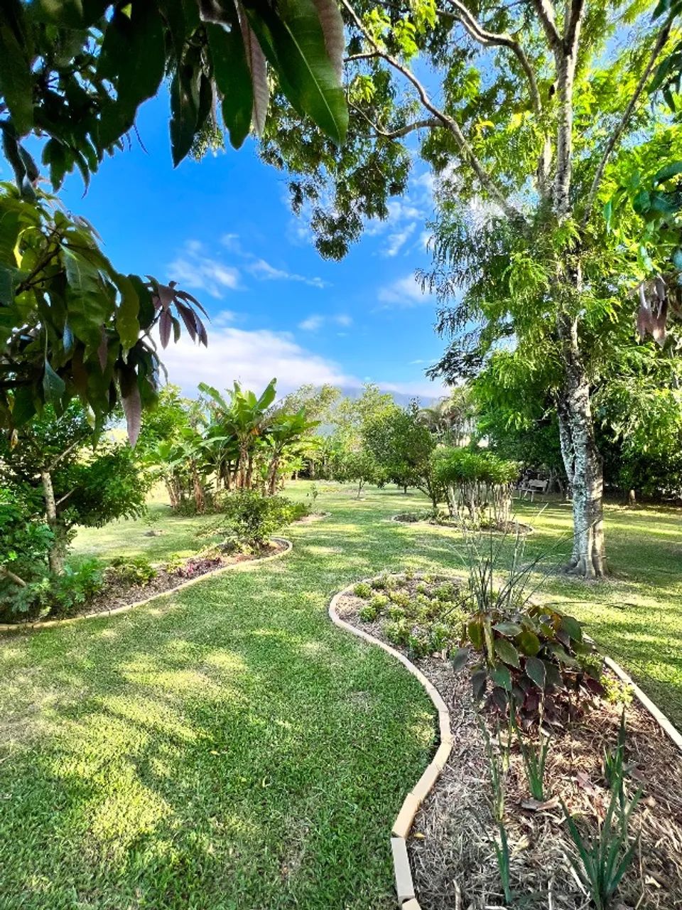 Sítio (Chácara) em Palhoça - Foto 6