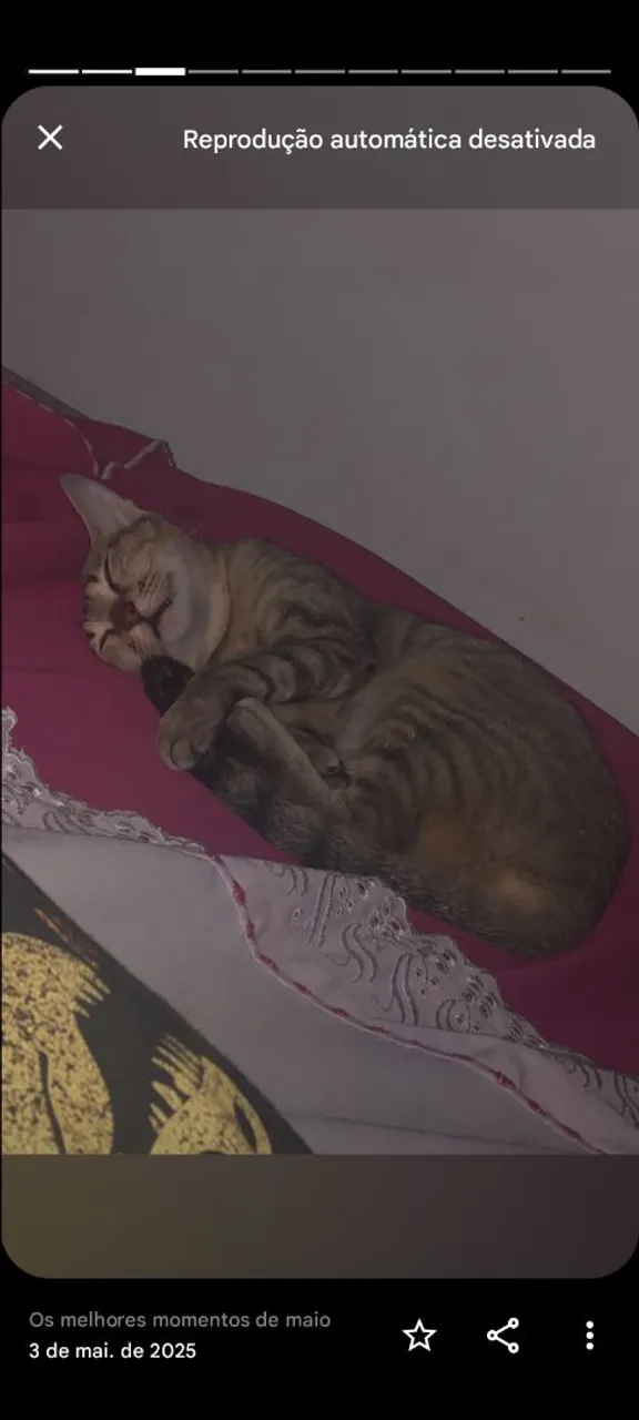 Gatinha