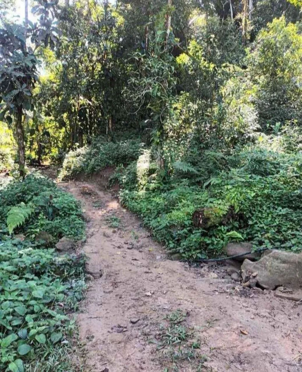 Terreno em Angra dos Reis  - Foto 2