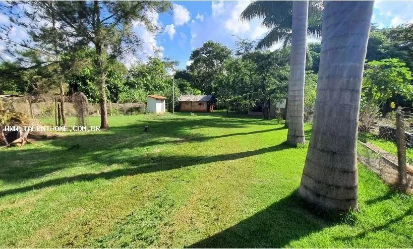 Área Rural para Venda em Alvorada do Sul, RURAL - Foto 3
