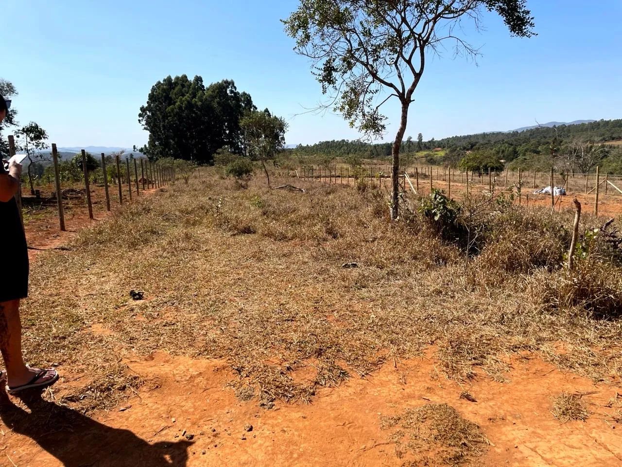 Chácara 1000m2 Catas Altas MG - Foto 4