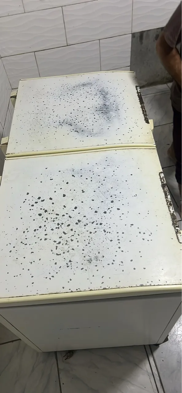 Freezer capacidade 449,700litro