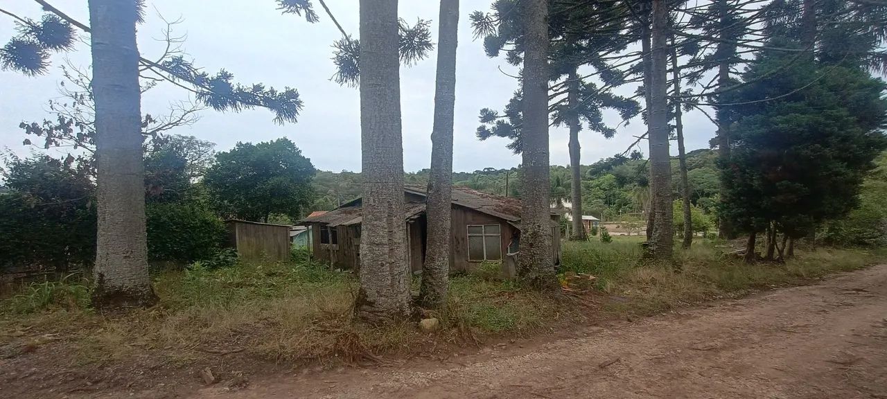 Pequena chácara  - Foto 5