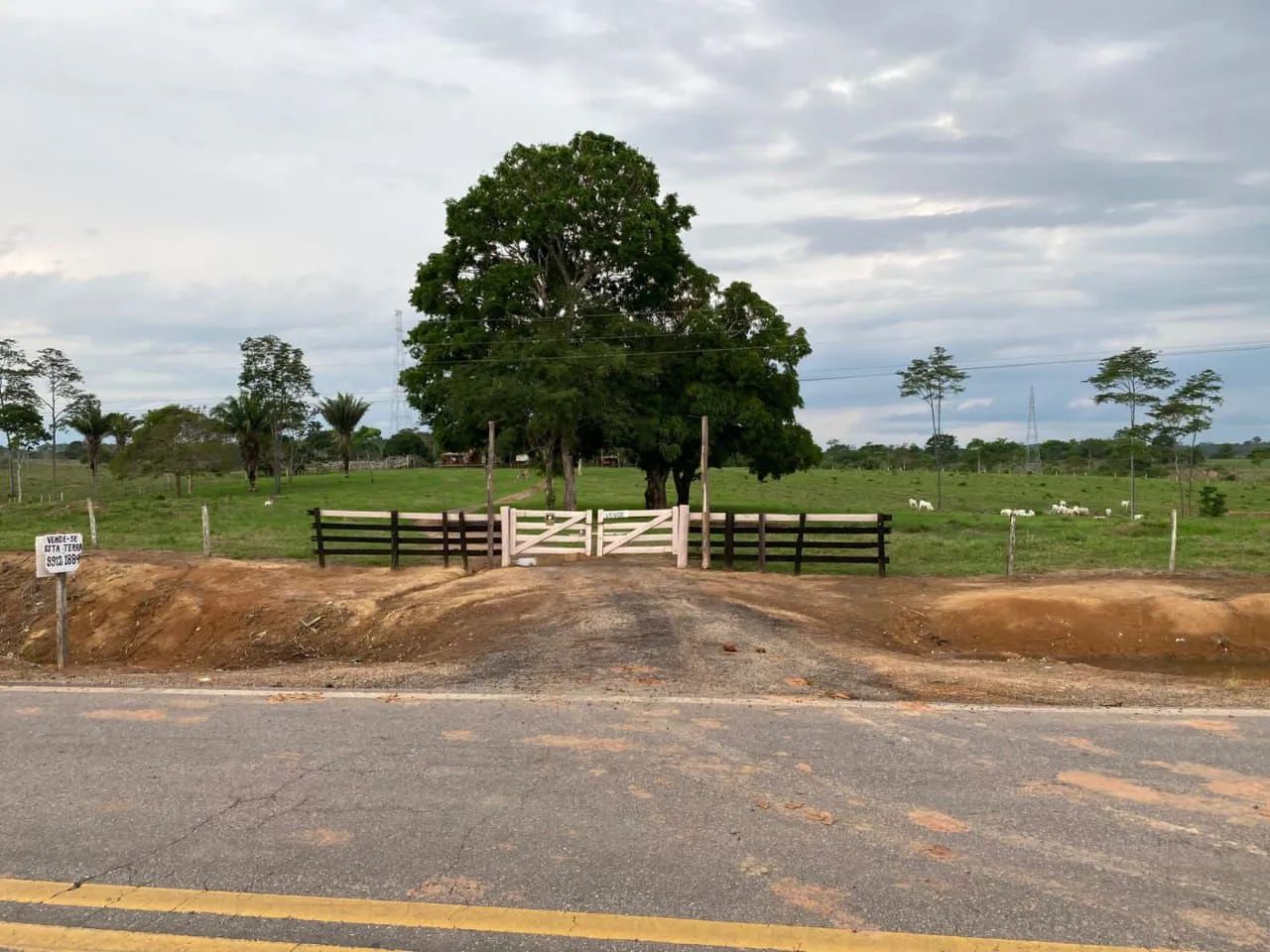 Vende uma terra 50hectares na Br 364  sentido sena madureira na beira do asfalto  - Foto 3