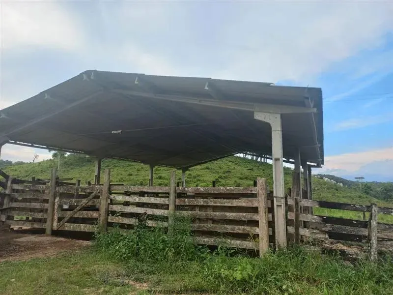 Fazendas para venda em Eldorado no bairro Zona Rural