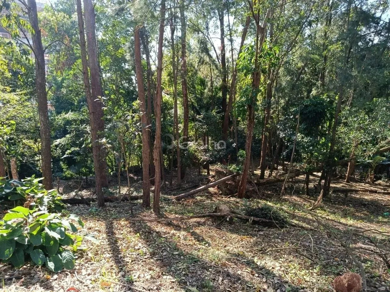Terreno para Venda em Florianópolis, Pantanal